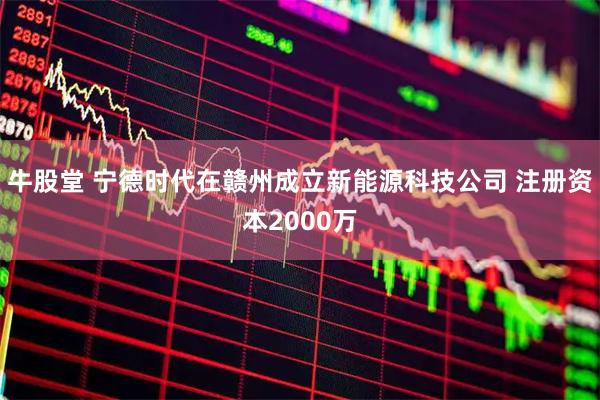 牛股堂 宁德时代在赣州成立新能源科技公司 注册资本2000万