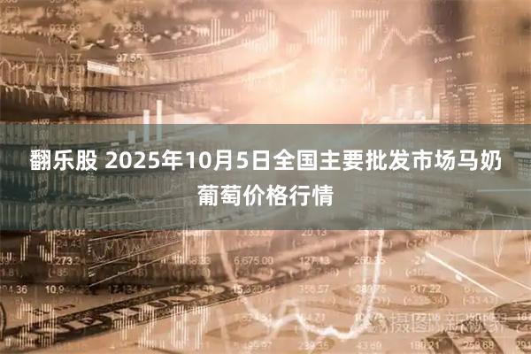 翻乐股 2025年10月5日全国主要批发市场马奶葡萄价格行情