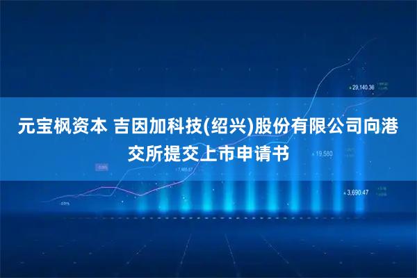 元宝枫资本 吉因加科技(绍兴)股份有限公司向港交所提交上市申请书