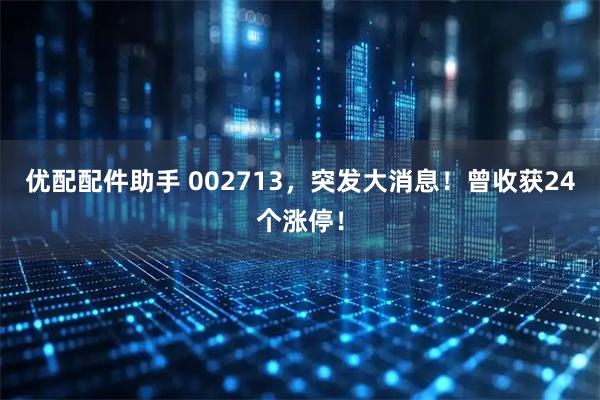 优配配件助手 002713，突发大消息！曾收获24个涨停！