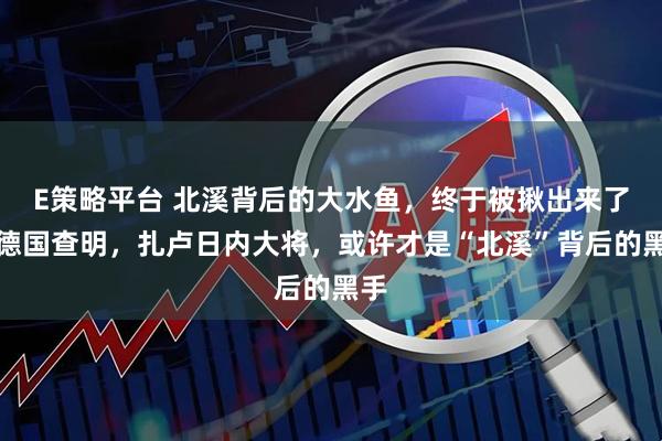 E策略平台 北溪背后的大水鱼，终于被揪出来了！德国查明，扎卢日内大将，或许才是“北溪”背后的黑手