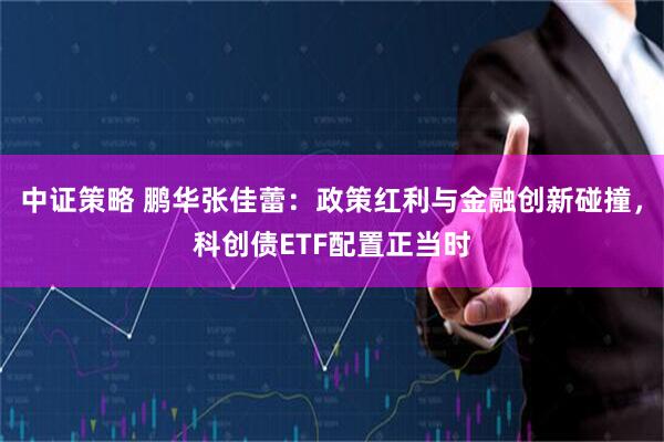 中证策略 鹏华张佳蕾：政策红利与金融创新碰撞，科创债ETF配置正当时